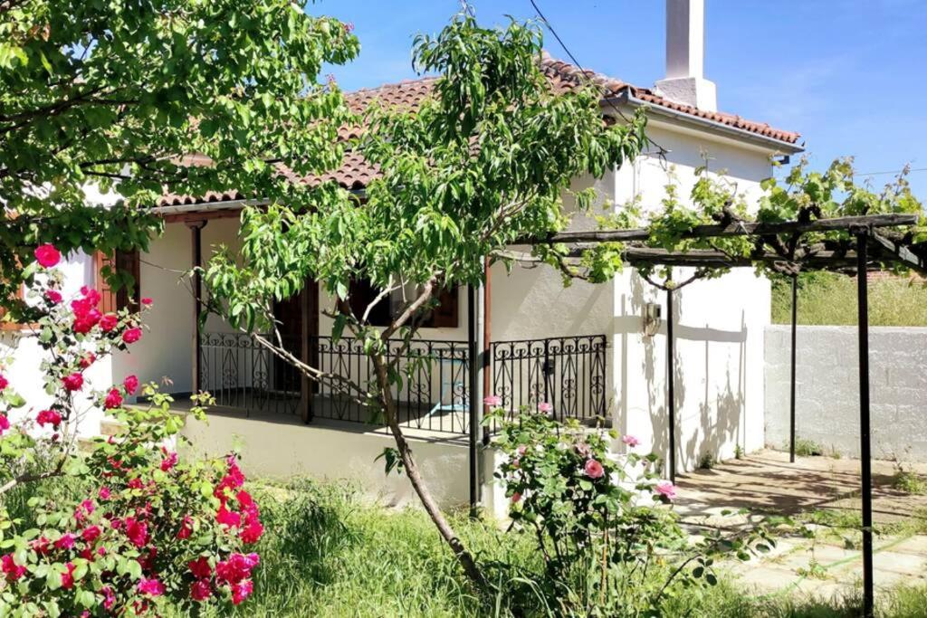 Feli'S Country House Argalasti Esterno foto